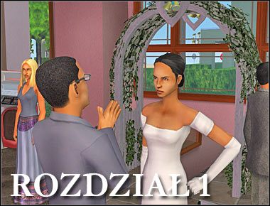 Tym razem będziesz miał okazję poznać historię Stefana Swojaka, utalentowanego kucharza z SimCity, zamieszkującego przedmieścia Łagodnych Równin - Rozdział 1 - Wstęp (1) | Nocna maskarada | The Sims Historie ze świata zwierząt - The Sims: Historie ze świata zwierząt - poradnik do gry