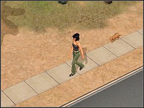 2 - Rozdział 2 - Specjalna przesyłka (1) | Nocna maskarada - The Sims: Historie ze świata zwierząt - poradnik do gry