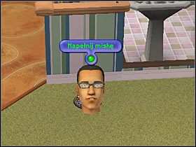 6 - Rozdział 2 - Specjalna przesyłka (2) | Nocna maskarada - The Sims: Historie ze świata zwierząt - poradnik do gry