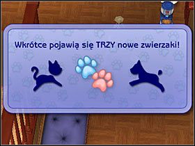 3 - Rozdział 12 - Szczenięca miłość (2) | Psie zawody - The Sims: Historie ze świata zwierząt - poradnik do gry