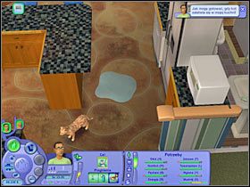 1 - Rozdział 3 - Gwidonie, poznaj Pusię (1) | Nocna maskarada - The Sims: Historie ze świata zwierząt - poradnik do gry