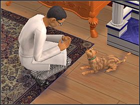 3 - Rozdział 5 - Najgorsze zdjęcia świata (1) | Nocna maskarada - The Sims: Historie ze świata zwierząt - poradnik do gry