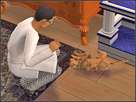 Cel: Przegonić psa (250 punktów aspiracji) - Rozdział 5 - Najgorsze zdjęcia świata (1) | Nocna maskarada - The Sims: Historie ze świata zwierząt - poradnik do gry