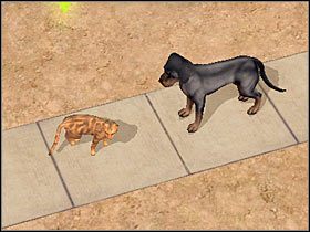 4 - Rozdział 5 - Najgorsze zdjęcia świata (1) | Nocna maskarada - The Sims: Historie ze świata zwierząt - poradnik do gry