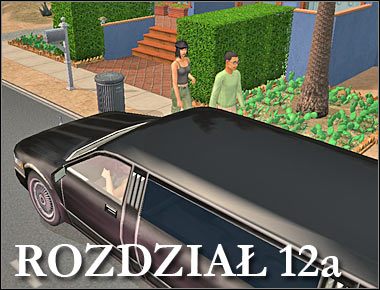 Uwaga - Rozdział 12a - Romantyczne ustronie | Nocna maskarada - The Sims: Historie ze świata zwierząt - poradnik do gry