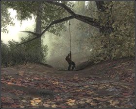 Wpadłeś w pułapkę - [12] Las | Dead Reefs - Dead Reefs - poradnik do gry