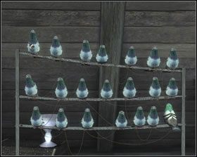 Wyjdź po drabince i podejdź do gołębi - [24] Miasto cz.6 | Dead Reefs - Dead Reefs - poradnik do gry