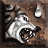wymagany poziom: 18 - Druid: Zmiany kształtu | Diablo II Pan Zniszczenia - Diablo II: Pan Zniszczenia - poradnik do gry