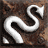 wymagany poziom: 18 - Zabójczyni: Sztuki walki | Diablo II Pan Zniszczenia - Diablo II: Pan Zniszczenia - poradnik do gry