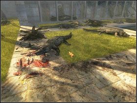 1 - Library Garden | Alexandria | Kleopatra Droga do tronu - Kleopatra: Droga do tronu - poradnik do gry