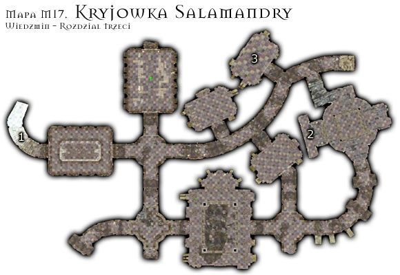 1 - M17: Kryjówka Salamandry | Rozdział 3 | Solucja Wiedźmin - Wiedźmin - poradnik