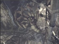 Teraz czas dobrać się do reszty Szarańczy - Coalition Cargo, Darkest... | Akt III Gears of War - Gears of War - PC - poradnik do gry