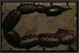 Ogon Radskorpiona - Inny sprzęt (1) | Przedmioty w Fallout - Fallout - poradnik do gry