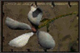 Kwiatek - Inny sprzęt (2) | Przedmioty w Fallout - Fallout - poradnik do gry