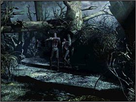 4 - Tereny zewnętrzne Wyspy Cieni (1) | Edward Carnby | Alone in the Dark - Alone in the Dark: Koszmar powraca - poradnik do gry