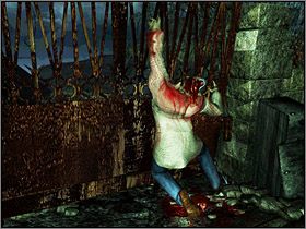 Nie zwlekając przejdź na drugą stronę - Tereny zewnętrzne Wyspy Cieni (1) | Edward Carnby | Alone in the Dark - Alone in the Dark: Koszmar powraca - poradnik do gry