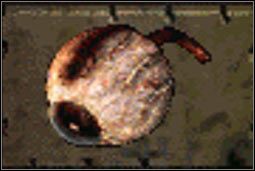 Oko Cliforda - Inne (4) | Przedmioty | Fallout 2 - Fallout 2 - poradnik do gry