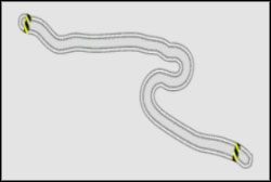 Próba Prędkości Maksymalnych : Fukushima Maksymalnych - Wyzwanie - Ebisu | React Team Session | Need for Speed ProStreet - Need for Speed ProStreet - poradnik do gry