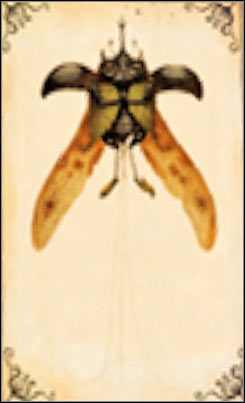 Beetle Mimic Sprite - Wróżka ta jest pod wieloma względami wyjątkowa - [Dodatki] Typy wróżek (cz.1) | Kroniki Spiderwick - Kroniki Spiderwick - poradnik do gry