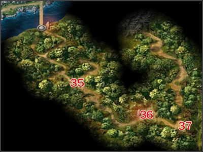 W miejscu oznaczonym [35] zobaczysz demoniczne pająki atakujące elfkę o imieniu Naeria - Puszcza czasu, Bagna, Portal demonów | Lokacje w Legend Hand of God - Legend: Hand of God - poradnik do gry