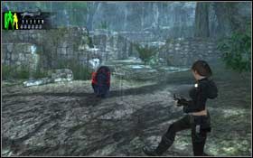 6 - Southern Mexico - The Unnamed Days | Solucja Tomb Raider Underworld - Tomb Raider: Underworld - poradnik do gry