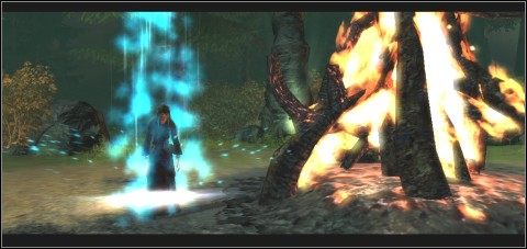 Heidrunę wezwiesz wsadzając sowie czaszki w pomniki wiedźm - Zadania główne - INKWIZYCJA | Rozdział 5 | Drakensang The Dark Eye - Drakensang: The Dark Eye - poradnik do gry