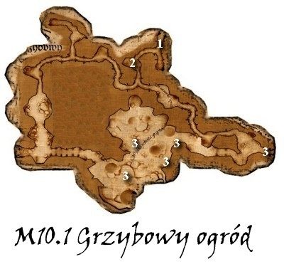 1 - Mapy M10.1 Grzybowy ogród | Rozdział 8 | Drakensang The Dark Eye - Drakensang: The Dark Eye - poradnik do gry