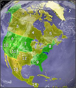 1 - Mapy - rozkład zasobów i zamożność terytoriów | Podstawy rozgrywki - War Leaders: Clash of Nations - poradnik do gry