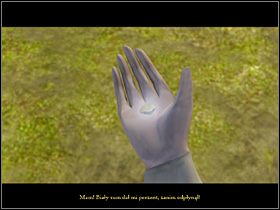 3 - Zdobyć łuskę białego suma | Wioska | Zaginiona historia Tale of Hero - Zaginiona historia: Tale of Hero - poradnik do gry