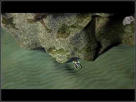 W tej sytuacji Olaf smaruje wodorosty, z których przed chwilą wyskoczyła ośmiornica, wydzieliną strzykwy (użyj strzykwy na pęczku wodorostów) i oddala się na moment pod drzwi - Porozmawiać z Apidulasem | Głębiny oceanu | Zaginiona historia Tale of Hero - Zaginiona historia: Tale of Hero - poradnik do gry