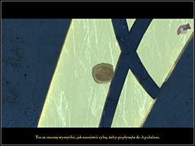 W tym celu Olaf dociera całkowicie na tył wieży (kolejna lokacja za tą z kępą wodorostów) i bada widniejące wysoko okno, w którym dostrzega pęknięcie na szkle (zbliżenie) - Porozmawiać z Apidulasem | Głębiny oceanu | Zaginiona historia Tale of Hero - Zaginiona historia: Tale of Hero - poradnik do gry