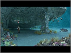 3 - Znaleźć błękitną rozgwiazdę | Głębiny oceanu | Zaginiona historia Tale of Hero - Zaginiona historia: Tale of Hero - poradnik do gry