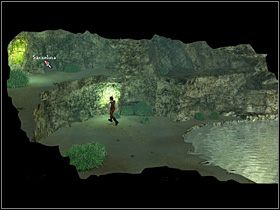 Oczywiście nasz bohater podnosi jedną z nich, po czym wskakuje do morza - Znaleźć błękitną rozgwiazdę | Głębiny oceanu | Zaginiona historia Tale of Hero - Zaginiona historia: Tale of Hero - poradnik do gry