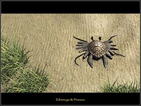 A rano przekonuje się, że z zabranej przez niego rozgwiazdy pozostała tylko skorupka - Znaleźć błękitną rozgwiazdę | Głębiny oceanu | Zaginiona historia Tale of Hero - Zaginiona historia: Tale of Hero - poradnik do gry