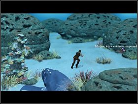 2 - Odnaleźć Maleństwo i kraba Fenintaira | Głębiny oceanu - Zaginiona historia: Tale of Hero - poradnik do gry