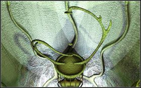 12 - Rozdział III - Na-Tiexu (Kryształowy Świat) | Opis przejścia - Aura: Fate of the Ages - poradnik do gry