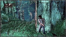 Dalej bohater przeszedł po przewalonym pniu, balansując, aby nie spaść (poruszanie padem) - Rozdział 4 Plane-wrecked (cz.1) | Przygoda | Solucja Uncharted Drakes Fortune - Uncharted: Drakes Fortune - poradnik do gry