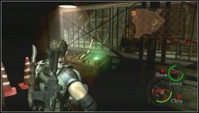 Przechodzimy po nim i otwieramy ozdobne drzwi - Uroboros Research Facility (5-3) (2) | Opis przejścia Resident Evil 5 - Resident Evil 5 - poradnik do gry