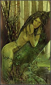 Znajdziesz ją w Gaju Druidów (M10 - Istotne Postacie | Rozdział 2 | Solucja Wiedźmin - Wiedźmin: Edycja Rozszerzona - poradnik do gry