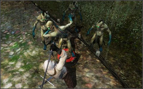 Faza 2 - Questy poboczne Bagien | Szlag by trafił te bagna | Dodatki do Wiedźmina - Wiedźmin - poradnik