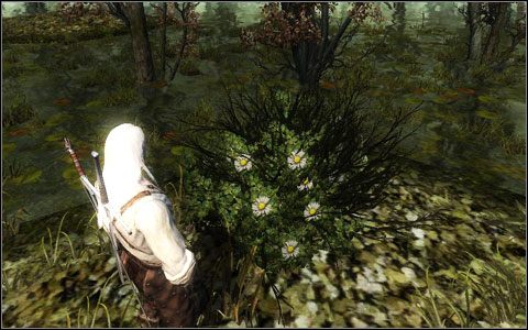 3 - Questy poboczne Bagien | Szlag by trafił te bagna | Dodatki do Wiedźmina - Wiedźmin - poradnik