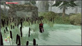 Trzecie przejście ma za sobą konar drzewa #1 - Misje poboczne w Fable II - Grumpy Rabbit | See the Future - Fable II - poradnik do gry