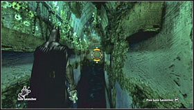 11 - Botanical Gardens - Sekrety (cz.1) | Sekrety | Batman Arkham Asylum - Batman: Arkham Asylum - poradniki