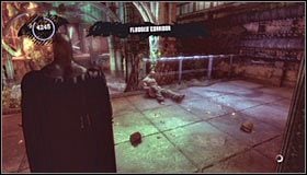 13 - Botanical Gardens - Sekrety (cz.1) | Sekrety | Batman Arkham Asylum - Batman: Arkham Asylum - poradniki