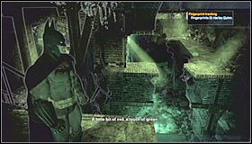12 - Botanical Gardens - Sekrety (cz.2) | Sekrety | Batman Arkham Asylum - Batman: Arkham Asylum - poradniki