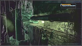 13 - Botanical Gardens - Sekrety (cz.2) | Sekrety | Batman Arkham Asylum - Batman: Arkham Asylum - poradniki