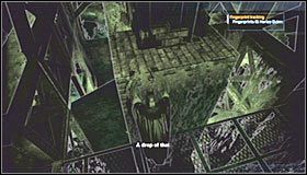 15 - Botanical Gardens - Sekrety (cz.2) | Sekrety | Batman Arkham Asylum - Batman: Arkham Asylum - poradniki