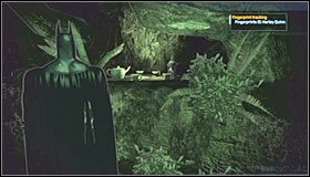 [#2] What time is tea time in Wonderland - Botanical Gardens - Sekrety (cz.3) | Sekrety | Batman Arkham Asylum - Batman: Arkham Asylum - poradniki