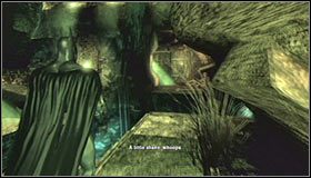 Dotarcie do kolejnej strefy nie powinno Ci przysporzyć większych kłopotów - Botanical Gardens (cz.1) | Opis przejścia Batman Arkham Asylum - Batman: Arkham Asylum - poradniki