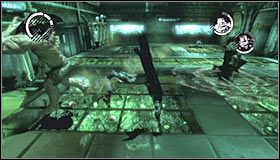 1 - Botanical Gardens (cz.3) | Opis przejścia Batman Arkham Asylum - Batman: Arkham Asylum - poradniki